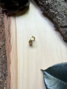 Armor Ring
