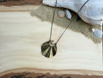 Scallop