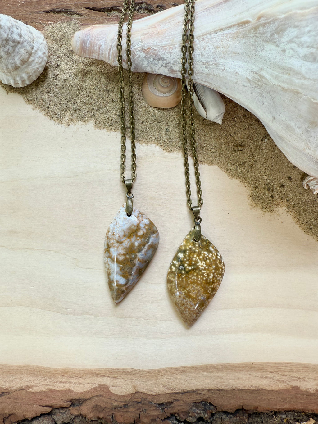 Shell Ocean Jasper