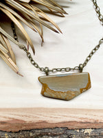 Wild Horse Picture Jasper