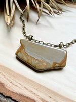 Wild Horse Picture Jasper