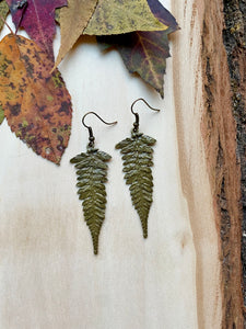 Fern